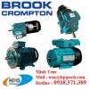 Đại lý Crompton tại Việt Nam, Motor Crompton - anh 1